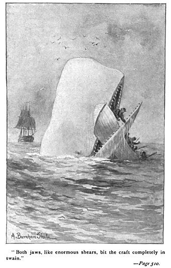 Moby Dick — Wikipédia