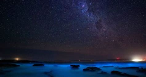 How To Visit Puerto Rico Bioluminescent Beaches At Night The Best