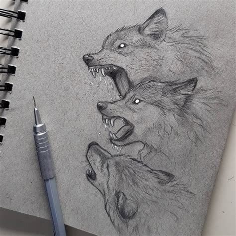 Angry Wolf Drawings In Pencil