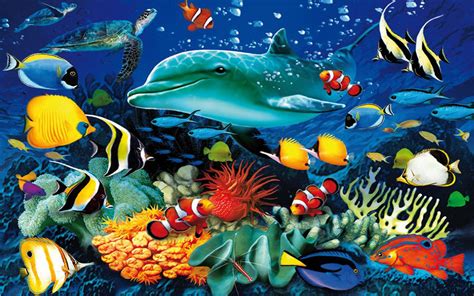 Download Ocean Underwater World Marine Life Dolphin Sea Turtle Colorful