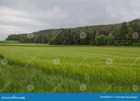 Spring In Bavaria Stock Image Image Of Evening Alps 84252771