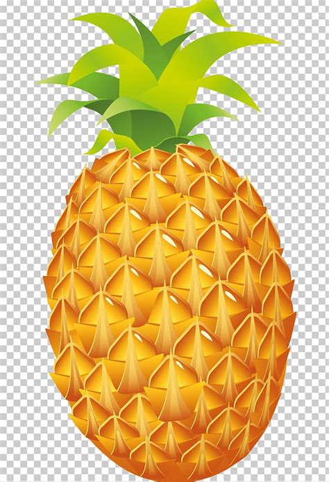 luau food clipart 10 free Cliparts  Download images on Clipground 2022