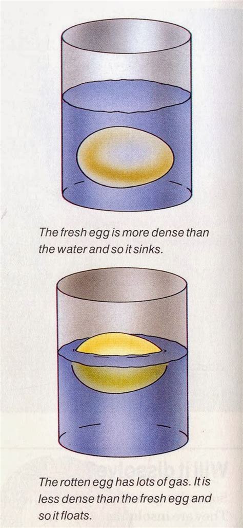 When an egg starts to rot or starts its decomposition process it releases gases. Water Test for Eggs - Test Eggs for Freshness