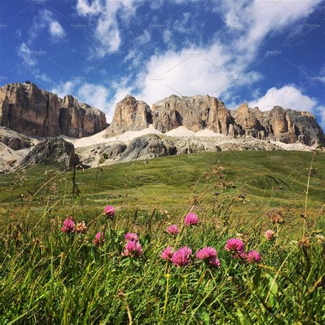 Flowers And Mountains In Dolomites High Quality Nature Stock Photos