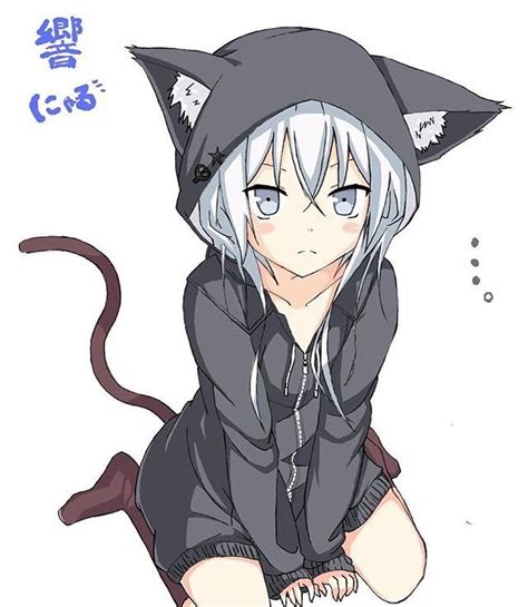 White Hair Anime Cat Girl Cat Girl Anime Cat Anime Eyes