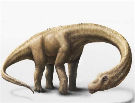 The Worlds Largest Terrestrial Dinosaur Discovered In Argentina Padeye