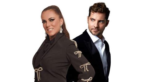 Maybe you would like to learn more about one of these? Edith Márquez une su voz a David Bisbal en 'Es complicado'