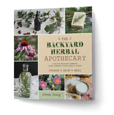 The Backyard Herbal Apothecary With Images Herbal Apothecary