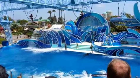 Blue Horizons Dolphin Show Sea World San Diego Full Show Youtube