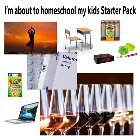 The Im About To Homeschool My Kids Starter Pack Rstarterpacks
