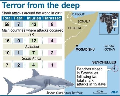 Experts Recommend Nets After Seychelles Shark Attacks Surf Blog Surfing New Surf News