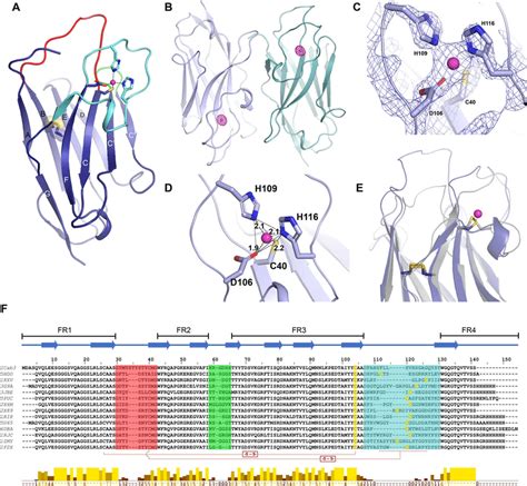 Structural Features Of Icab3 A Overall Structure Of Icab3 Cdr1