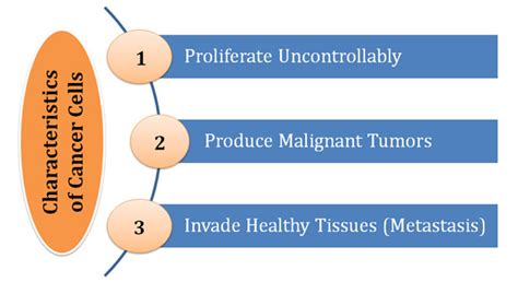 Whether we're talking about career mobility, educational competence, and other factors, it seems that the cancer males in our lives tend to have outward features that are admirable. Characteristics of Cancer Cells | Easy Biology Class