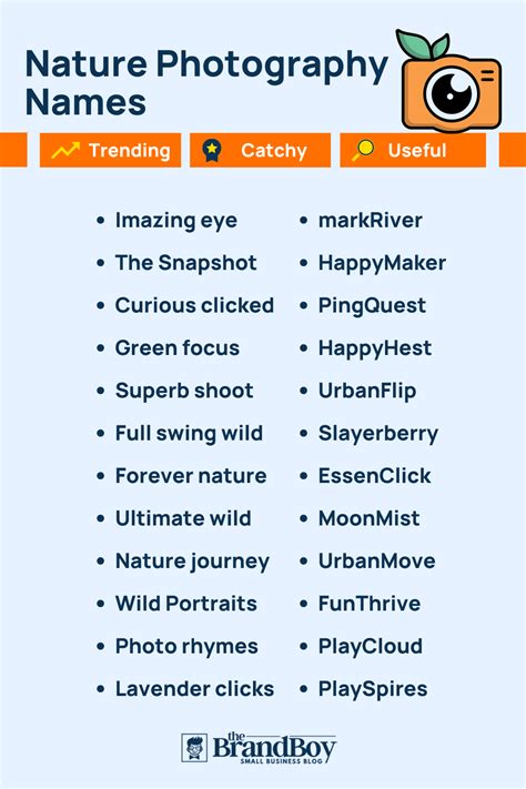 750 Nature Photography Names Ideas Suggestions And Domain Ideas