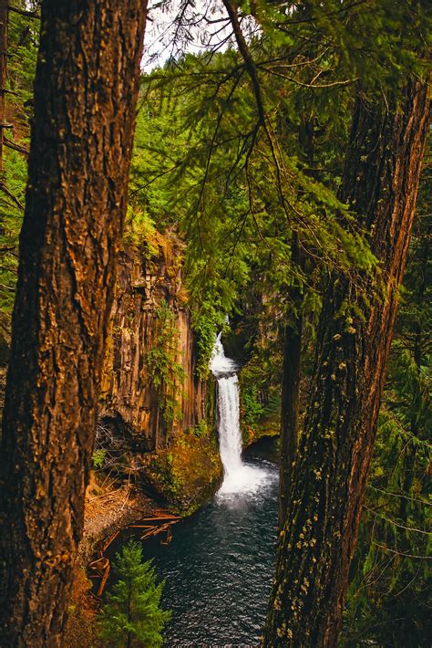 Free Images Landscape Tree Water Nature Waterfall Wilderness