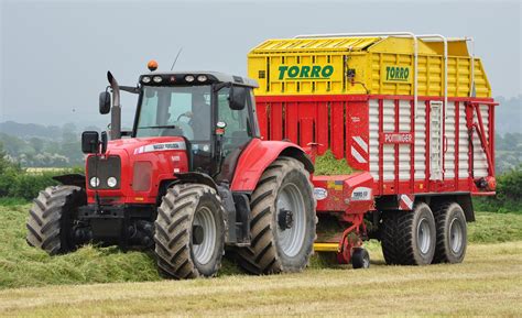 We did not find results for: How much will it cost to get your (pit) silage cut ...