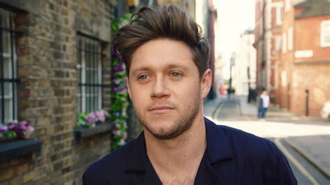 Niall Horan Drops Brand New Nice To Meet Ya Music Video Capital