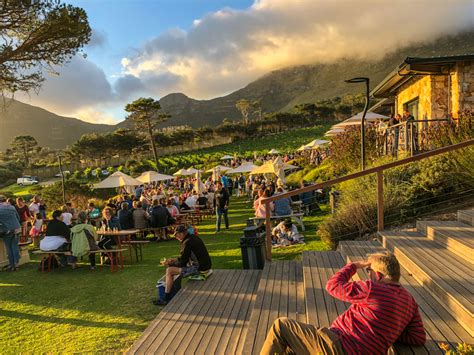 Cape Point Vineyards Wine Food And Stunning Views In Cape Town South