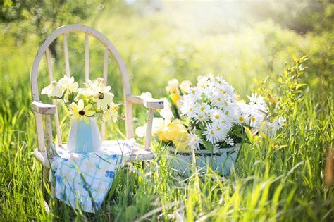 Ein traditionelles spanischer garten ist ein gartenstil oder gestaltete landschaft im historischen spanien entwickelt. Spanisch Vokabeln: Garten
