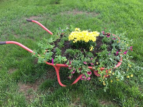 Coral Wheelbarrow With Flowers Flower Beds Garden Tools Plants