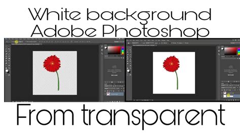 How To Make White Background From Transparent Background In Photoshop