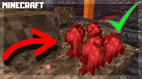 How To Make A Nether Wart In Minecraft How To Find Nether Wart