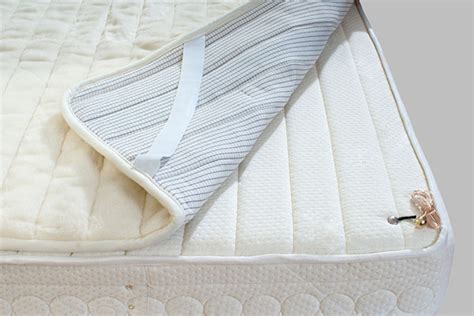 Top 7 bed bug mattress covers reviewed. The Best Bed Bug Mattress Covers to Keep You Protected ...