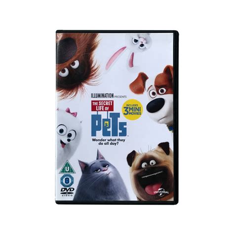 The Secret Life Of Pets Dvd Hobbies Toys Music Media Cds Dvds On Carousell