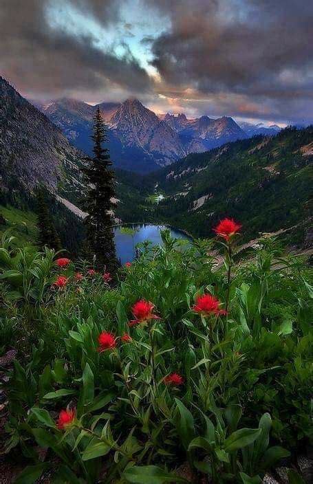Pin By Christine Beasley On Nature And Places Beautiful Nature