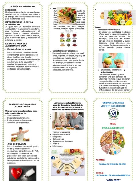 Triptico Buena Alimentacion Pdf Fibra Dietética Dieta Y Nutrición