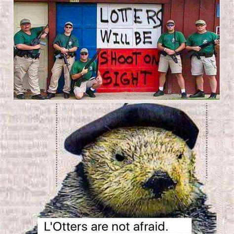 Aggressive Otter In Area Rscarysigns
