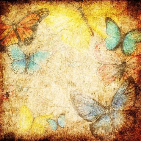 Backgrounds For Poetry Page Home Design Butterfly Pictures Fabric