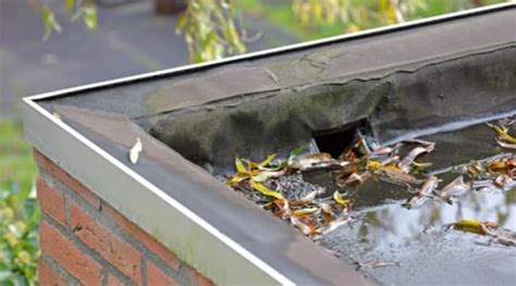 Flat Roof Drainage Systems My Trusted Expert