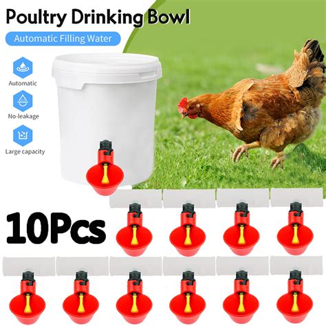 Agriculture And Forestry Equipment 4 Pcs Automatic Cups Chicken Waterer