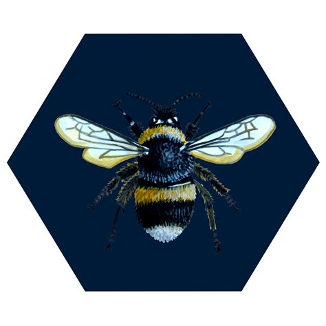 Illustration Of A Bumble Bee And Edited It Into The Hexagon Shape