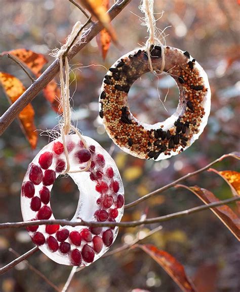 Diy Bird Seed Ornaments