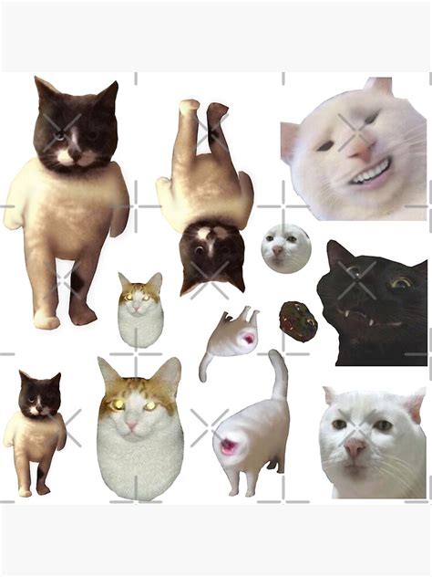 Pack Of 12 Cat Memes Sticker Combo More Obscure Cursed Cat Memes 2