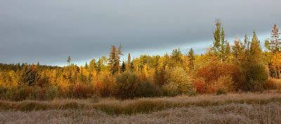 Early morning light, mid September | Off grid homestead ...