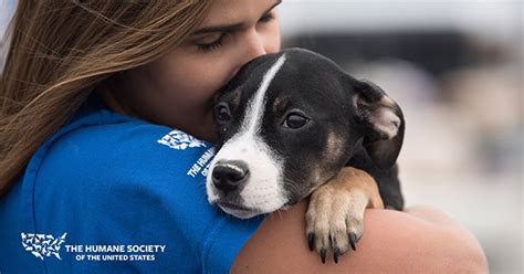 Protect Animals Give A T The Humane Society Of The United States