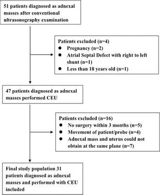 Frontiers Contrast Enhanced Ultrasonography For Differential