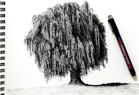 Learn how to draw a tree with pen and ink in this lesson. How to Draw (Realistic) Trees with Pen & Ink - Ran Art Blog