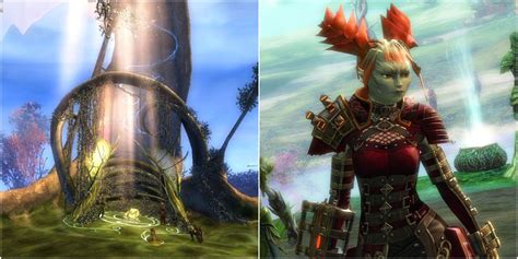 Guild Wars 2 A Beginners Guide To The Races