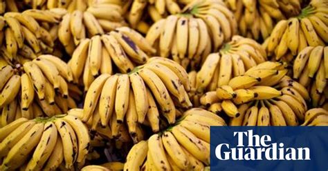 Meet The Super Banana A Vitamin Enriched Upgrade That Could Save