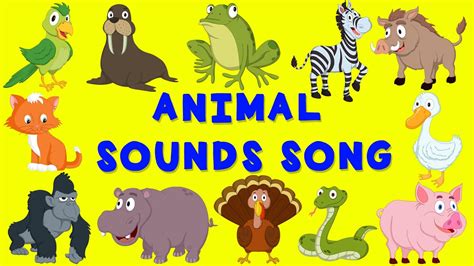 Best Baby Animals Sounds Png Temal