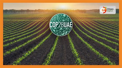 COP 28 | Wakulima nchini Kenya waendeleza juhudi za uzalishaji wa