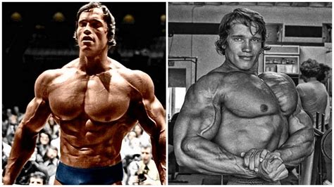 What Is Arnold Schwarzeneggers Chest And Back Workout