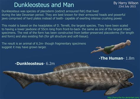 :) never mind i will stay on this island. Dinosaur Duels Episdoe 1 Dunkleosteus vs Liopleurodon ...