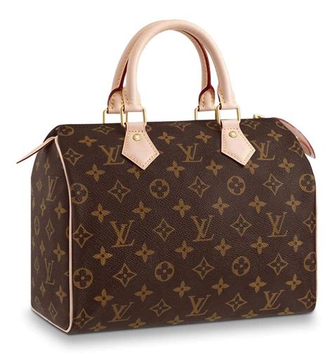 Louis Vuitton Purse 100 Fully Donated Ladies Of Rmbs