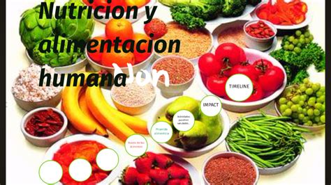 Nutricion Y Alimentacion Humana By Vanessa Franco On Prezi