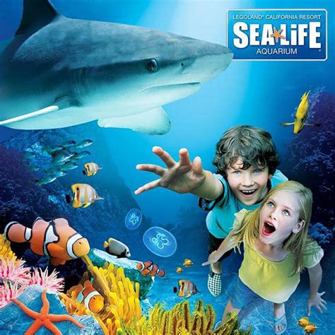 Sea Life Aquarium Dallas Edengardenanddesign